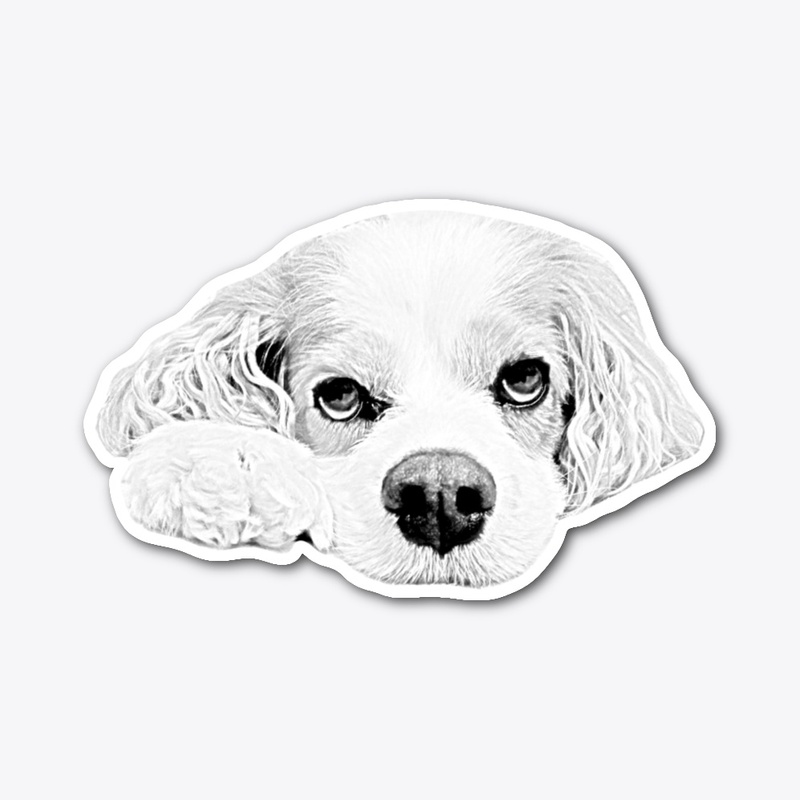 Cavalier King Charles Drawing