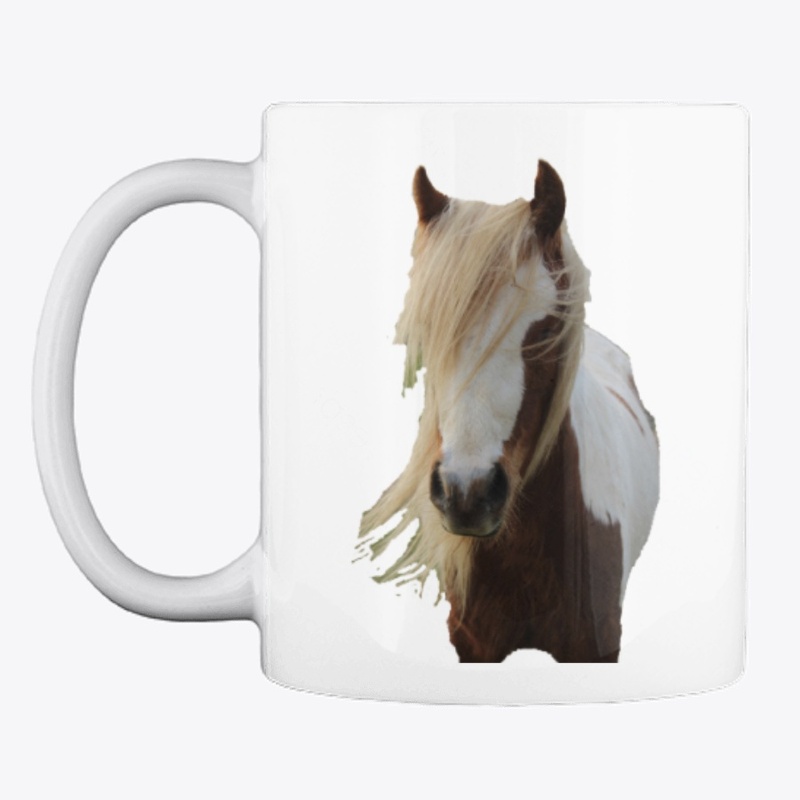 Raisin the Skewbald Pony