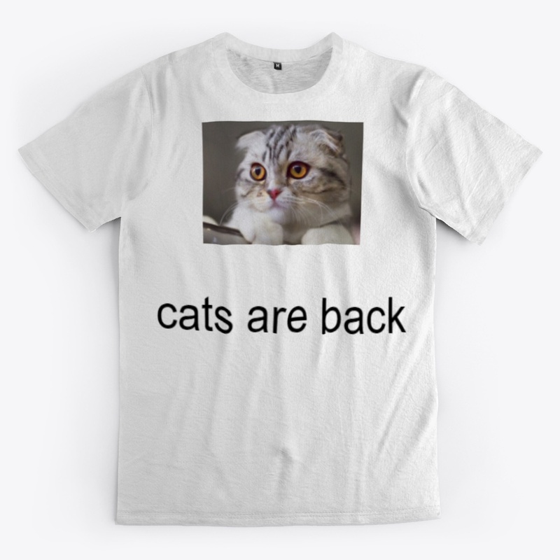 cats are back