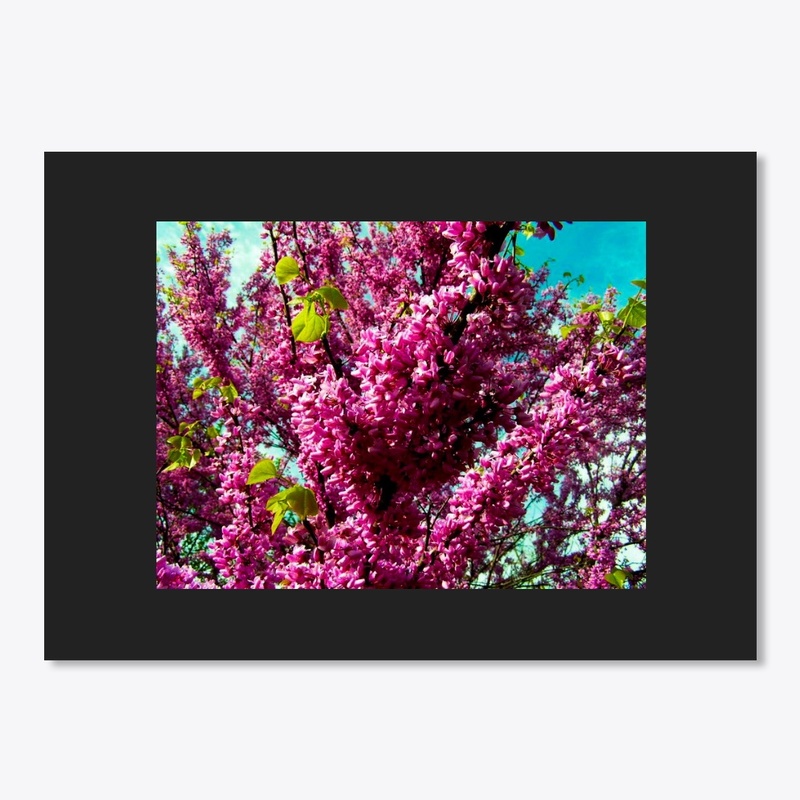 redbud tree flowers