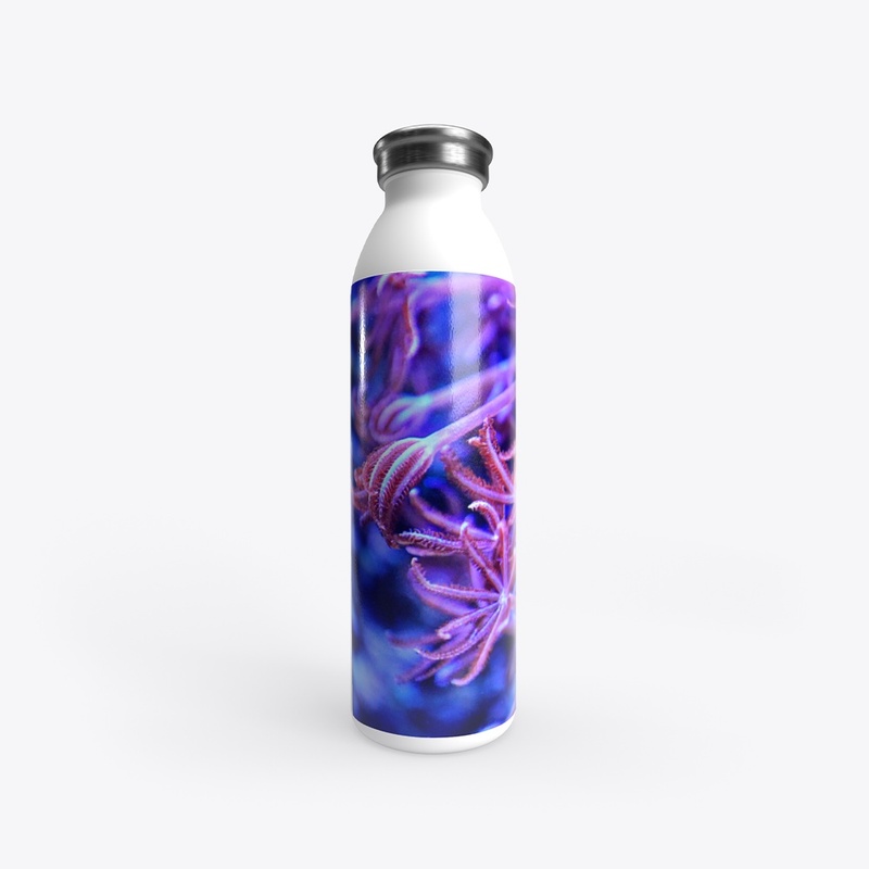 20oz stainless water bottle 