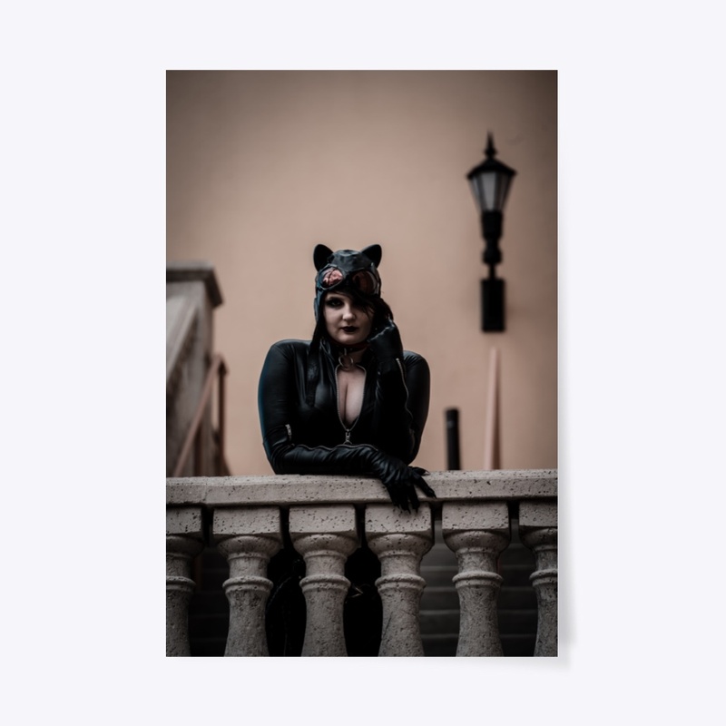 Catwoman Poster