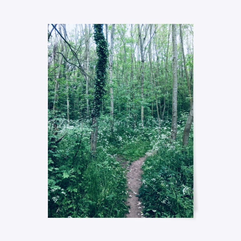 Woodland walkway
