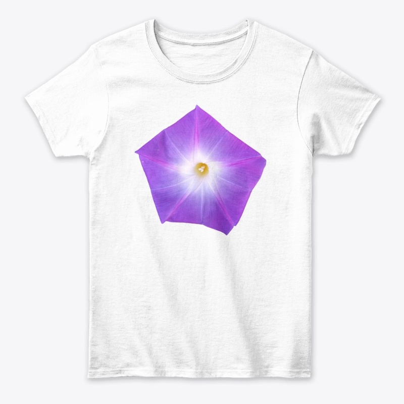 Magnificent Morning Glory