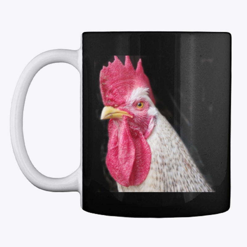 rooster chicken farm animal