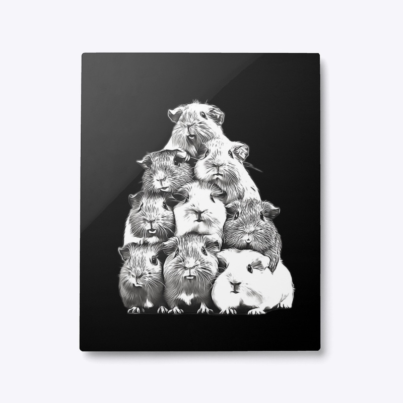 Guinea Pig Pyramid