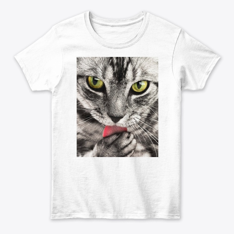  Cool Cat