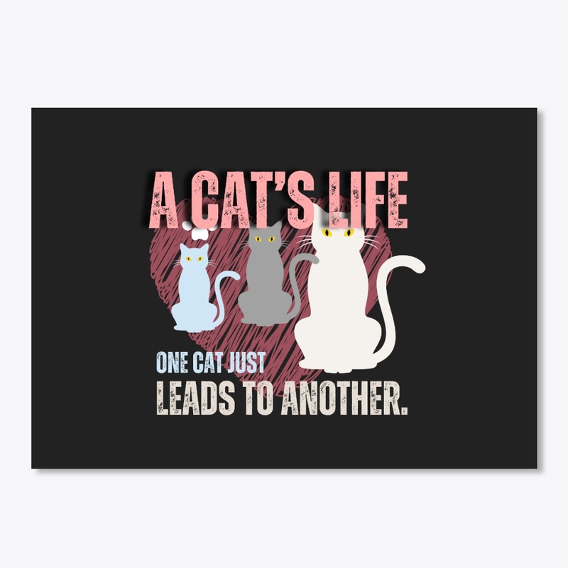 Catt shirt Every cat is my best friend.