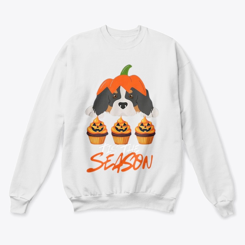 Limited Edition 1 (6)