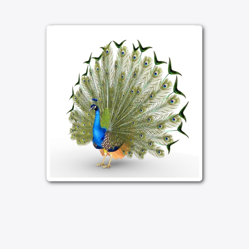 PEACOCK LOVE