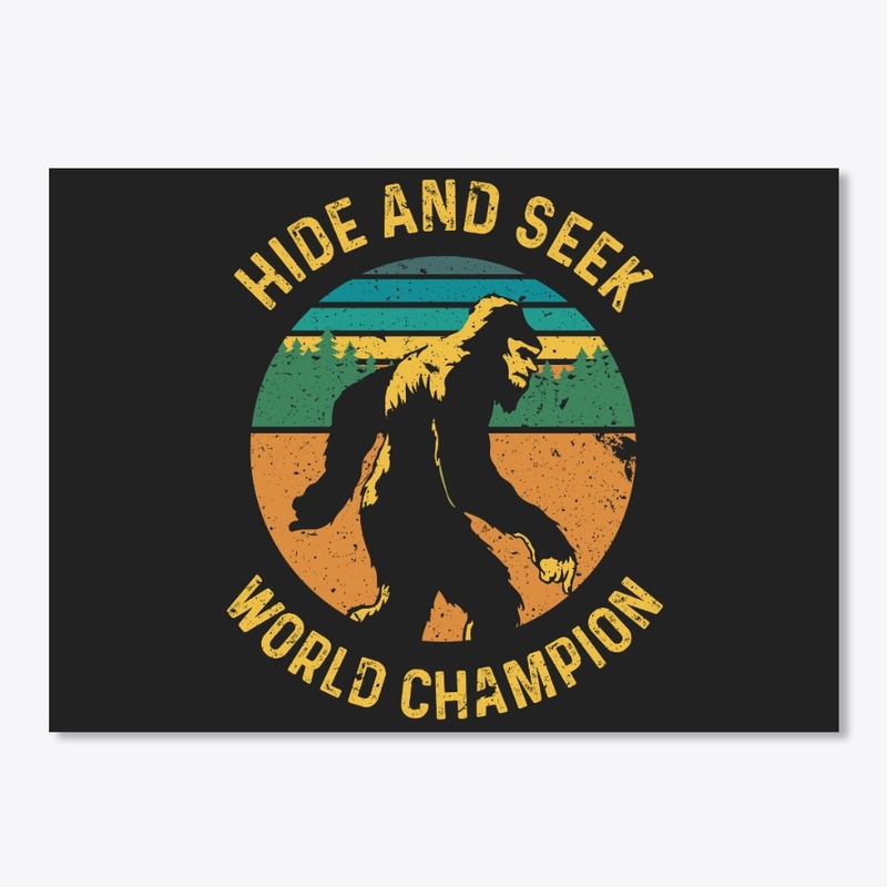 Hide And Seek World Champion