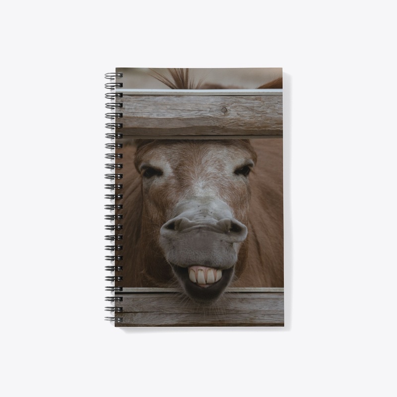 Donkey Dilemma 