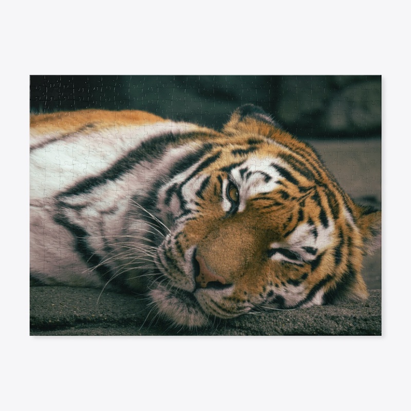 Big Cats 2