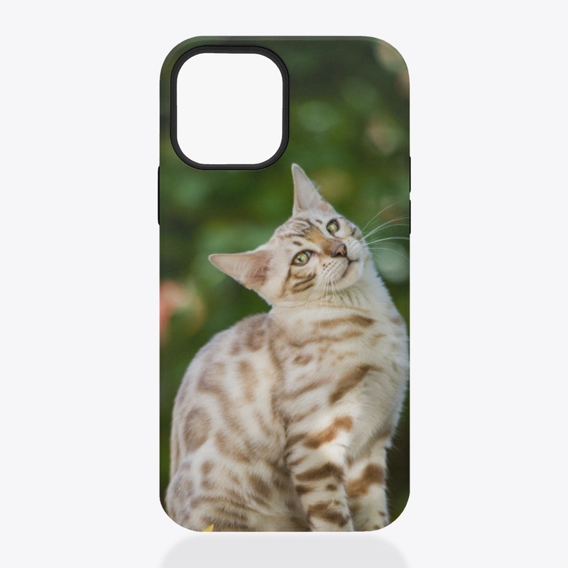 Mobile cat cover