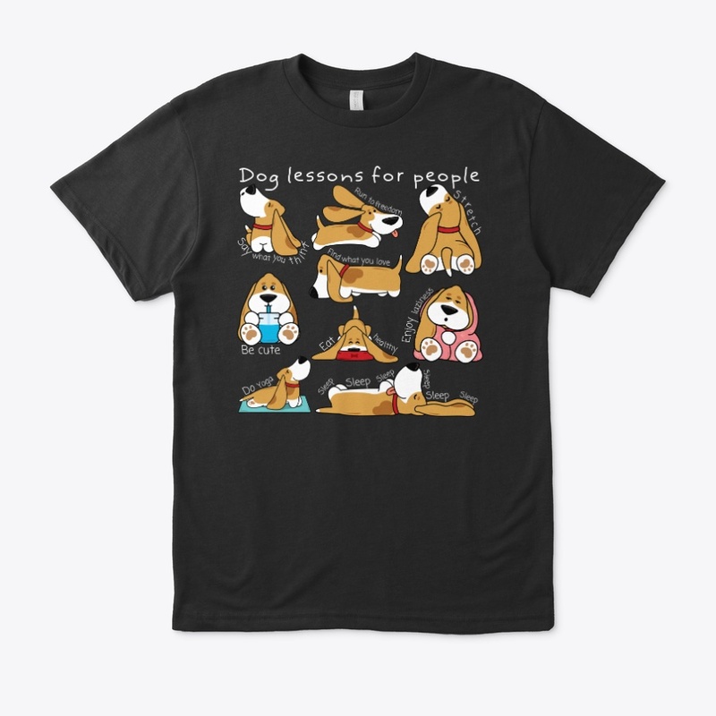 Dog lessons for people