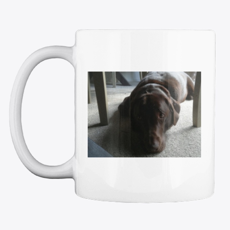 Labrador