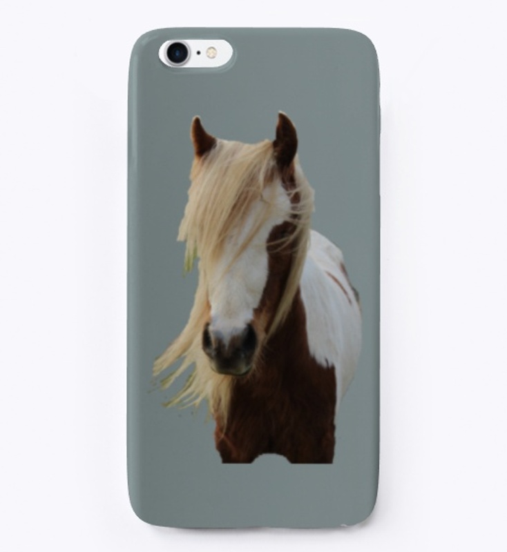 Raisin the Skewbald Pony