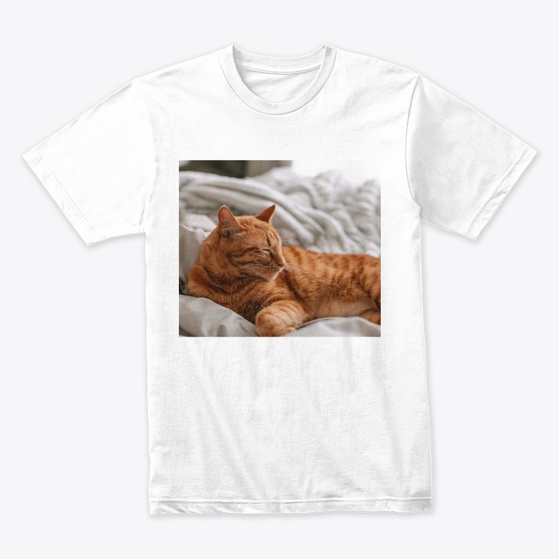 Nice cat