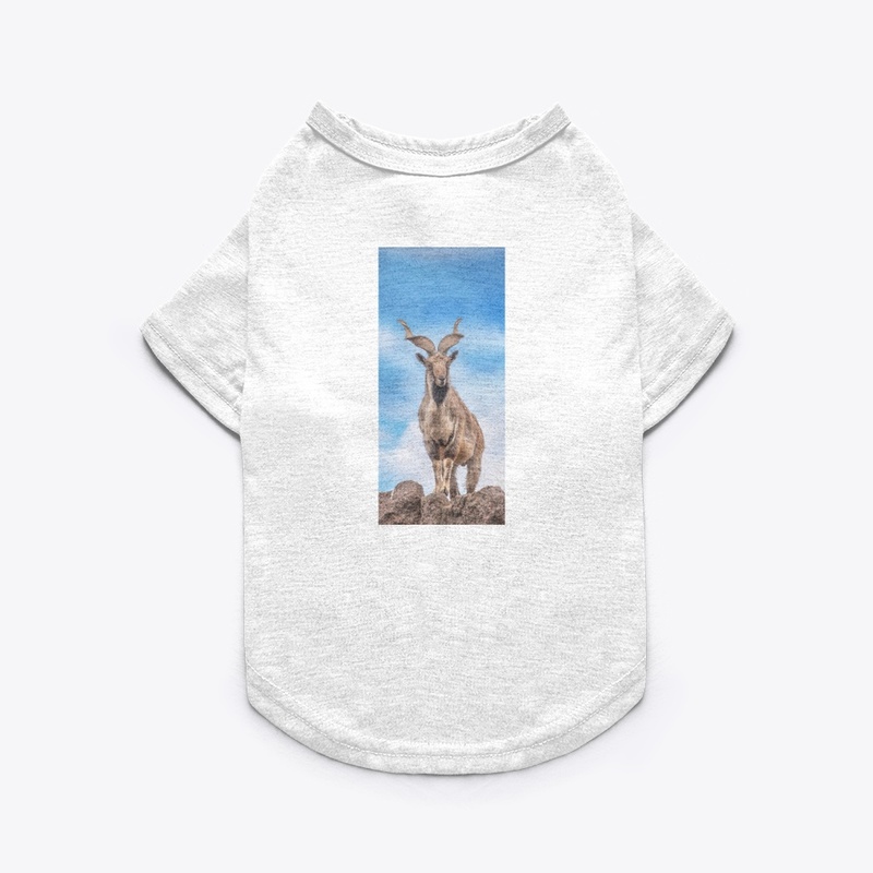 Markhor design