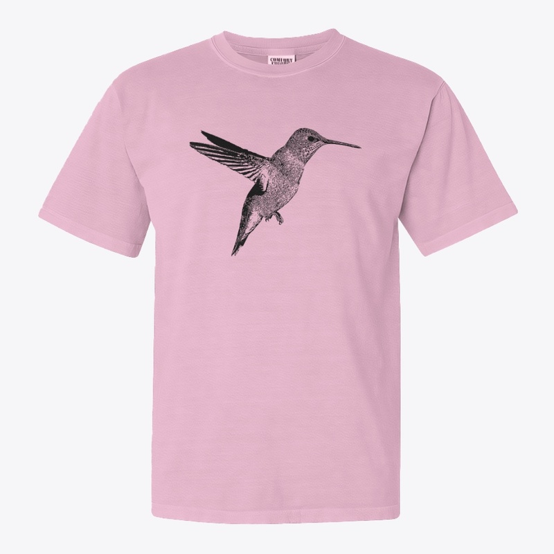 Hummingbird - Birdwatching