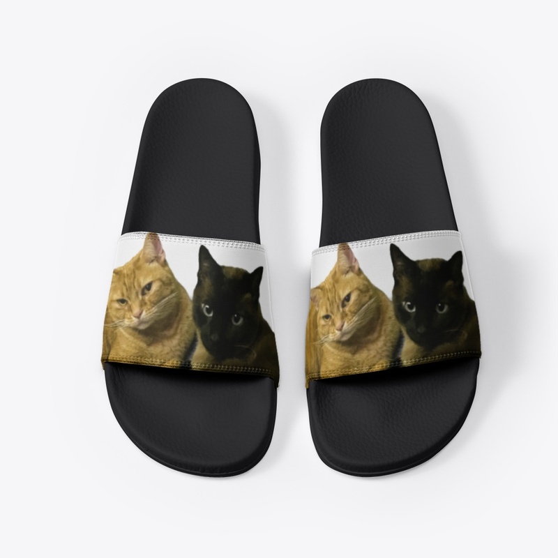 Bonitos Gatos 