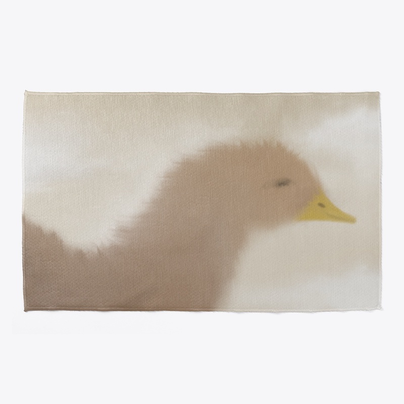 Adorable Waterfowl Chick