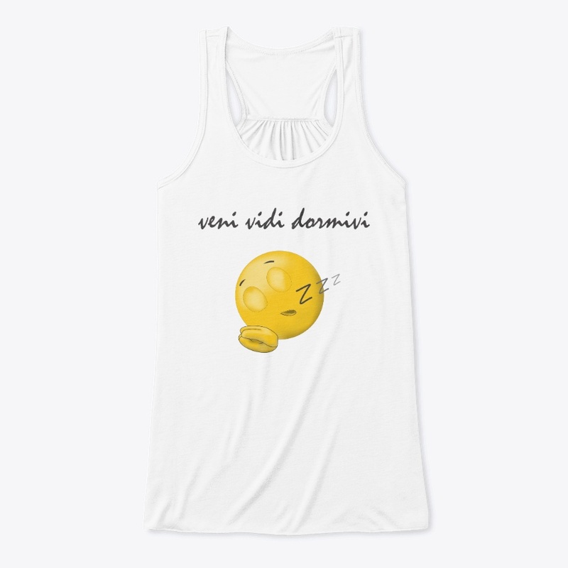 veni vidi dormivi