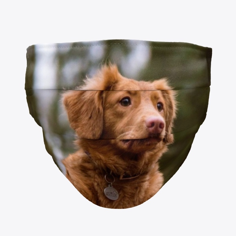 Golden Retriever Face Mask
