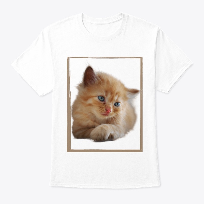  Cutee Cat