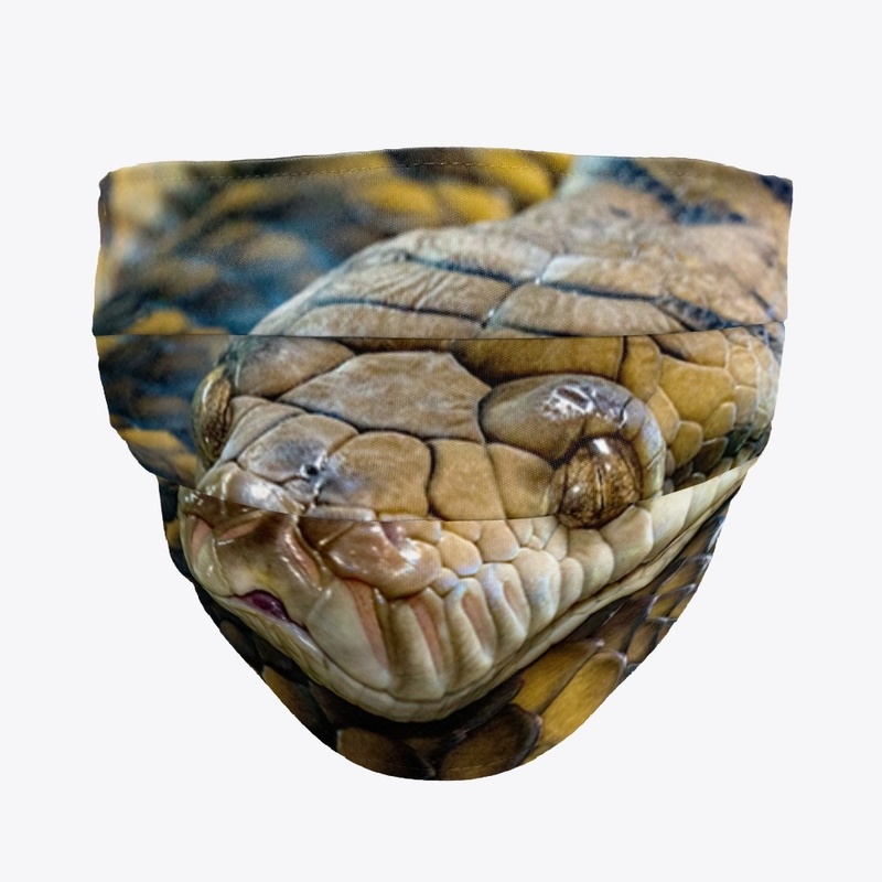 Snake Face Mask 