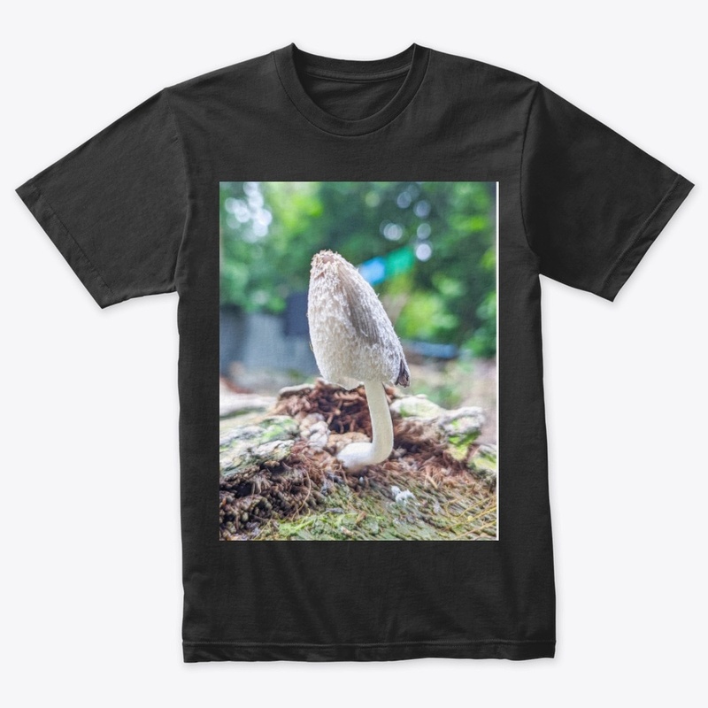 Comfort Colors  Tee price