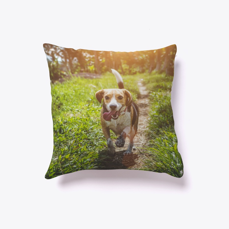beagle