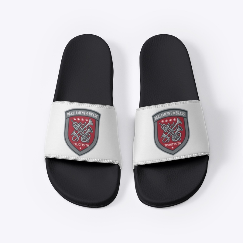 OTWSWP Merch