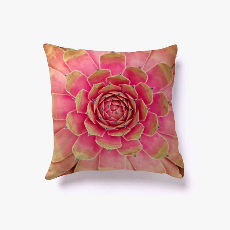 Indoor pillow
