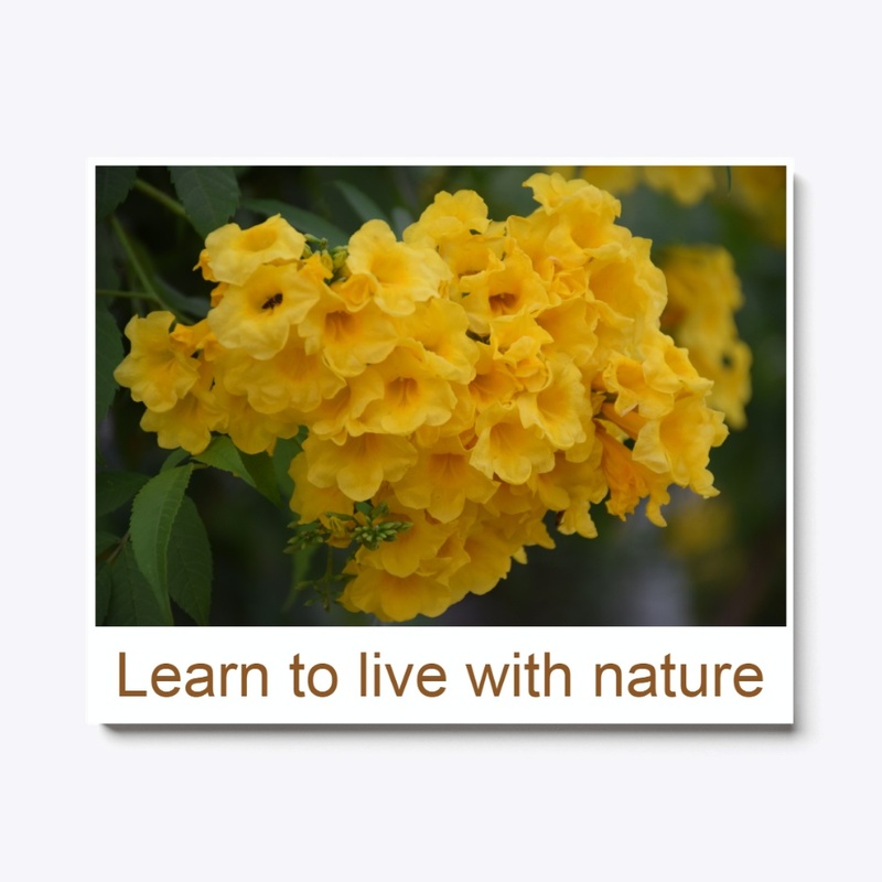 Learn to live with nature