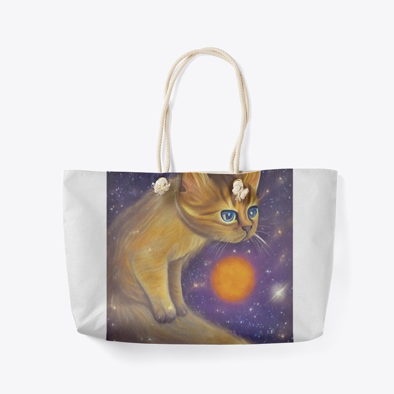 A funny cat in space