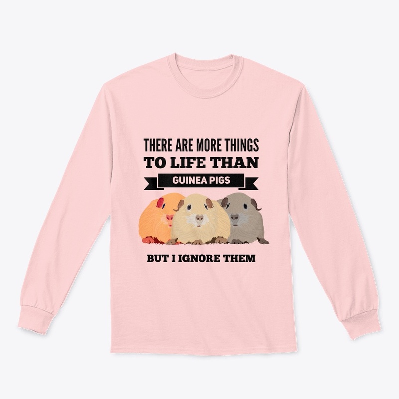 Guinea Pig Cute Funny Adorable