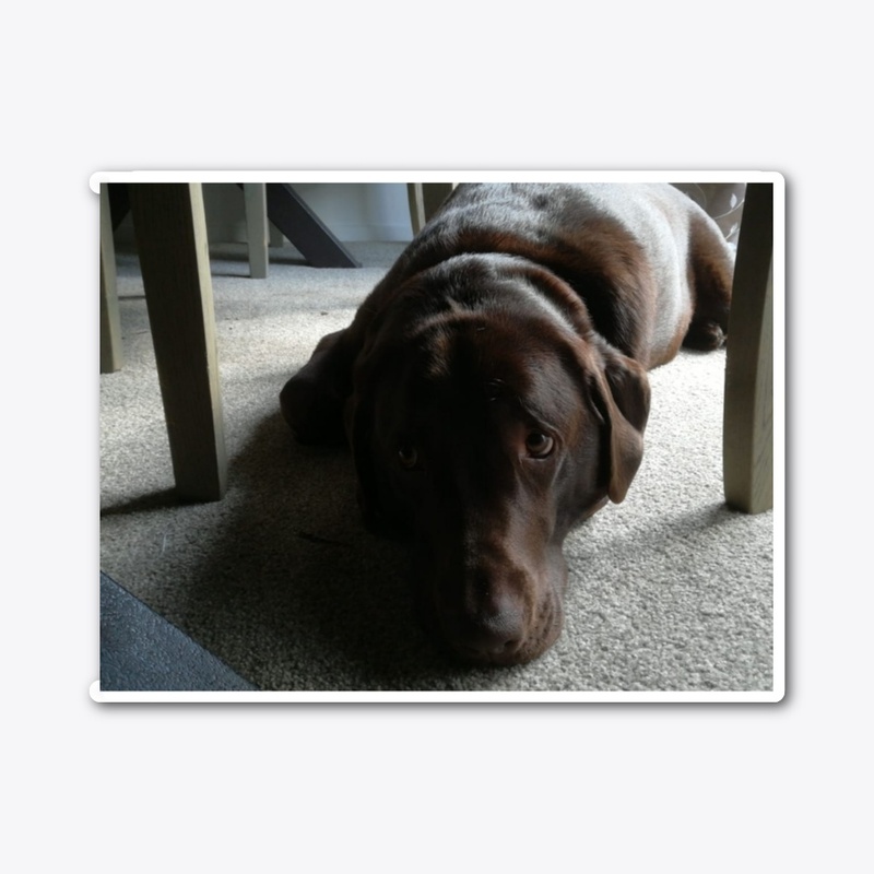 Labrador