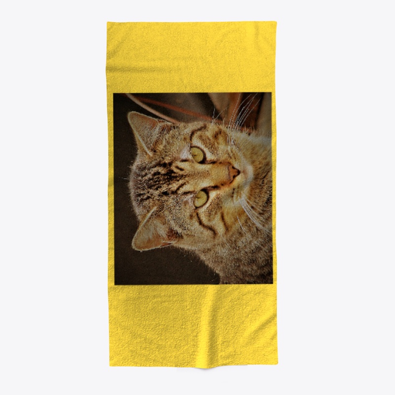 Junior Cat / Autumn Gold