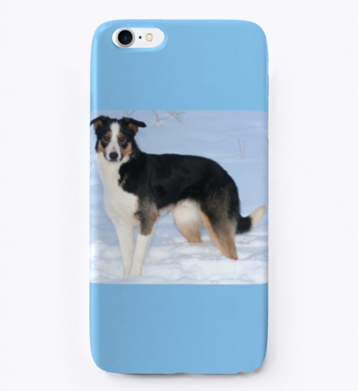 The Border Collie