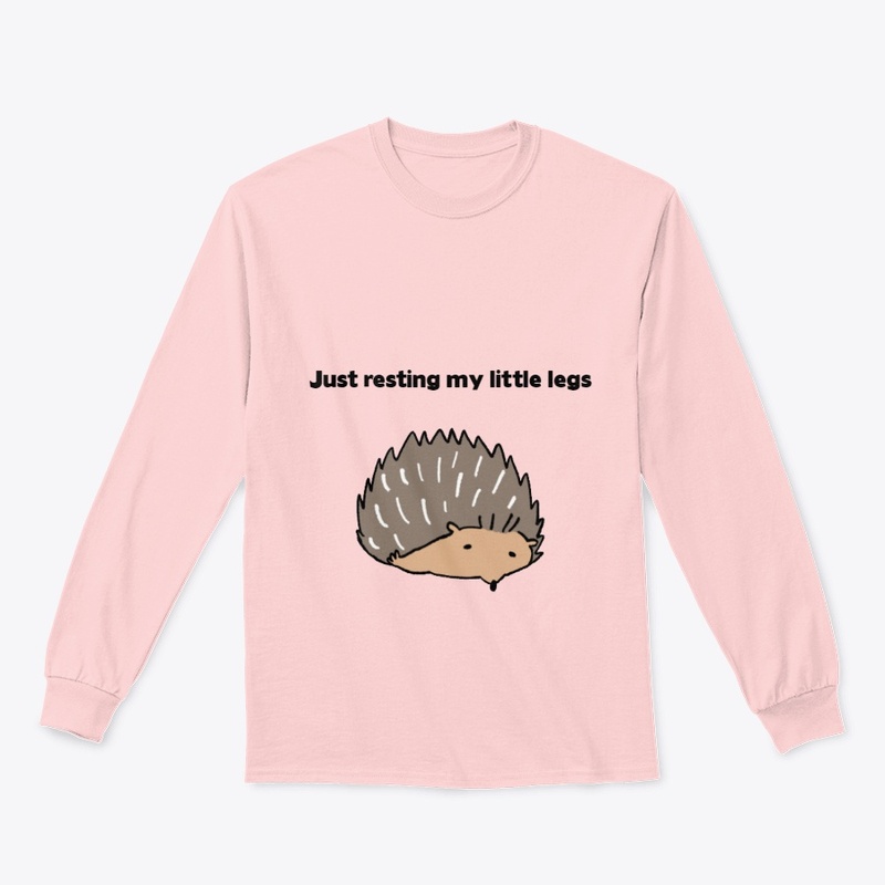 Hedgehog resting
