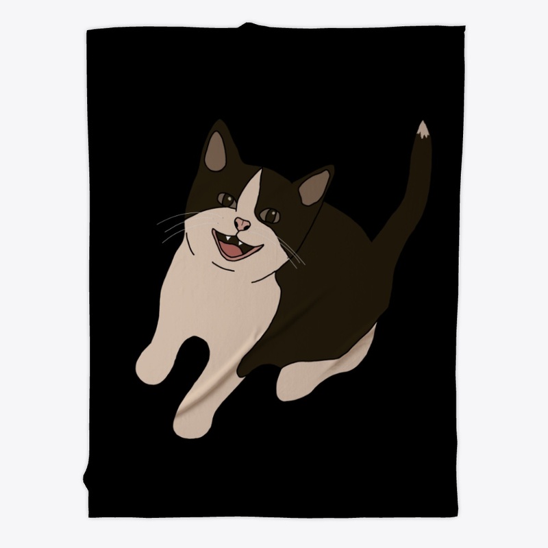 Spooky The Cat Home II