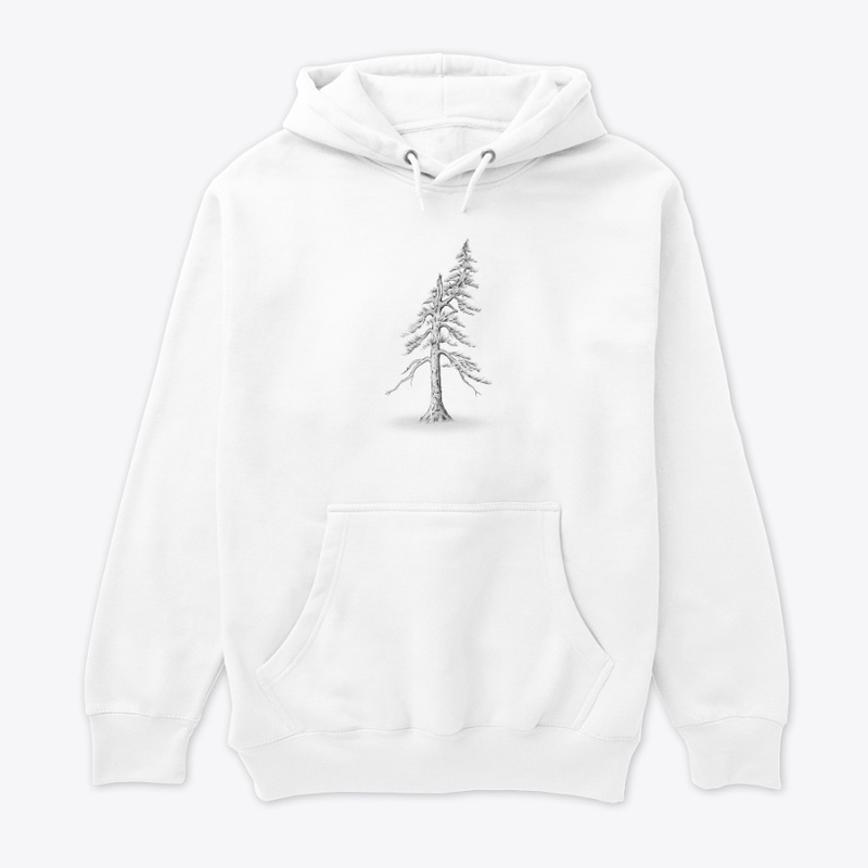 Spruce