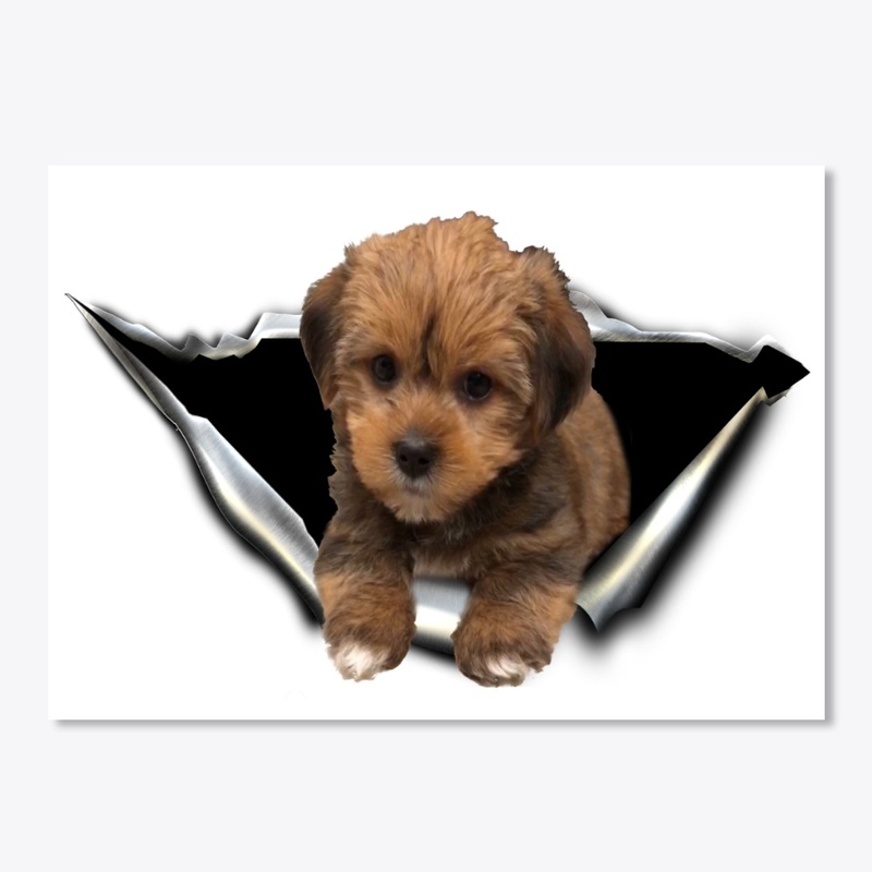 morkie 3D Car sticker