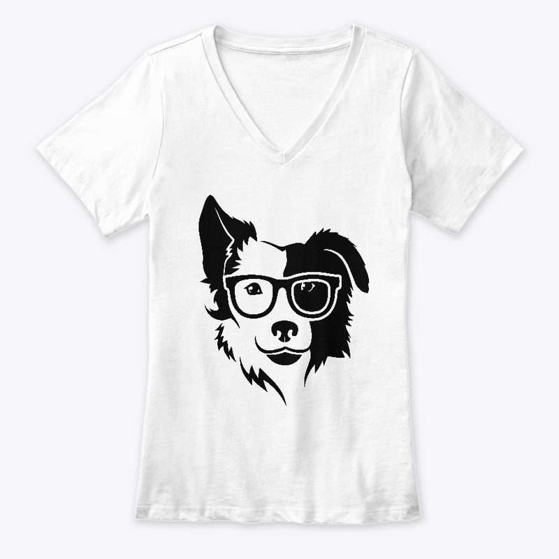 Border collie2