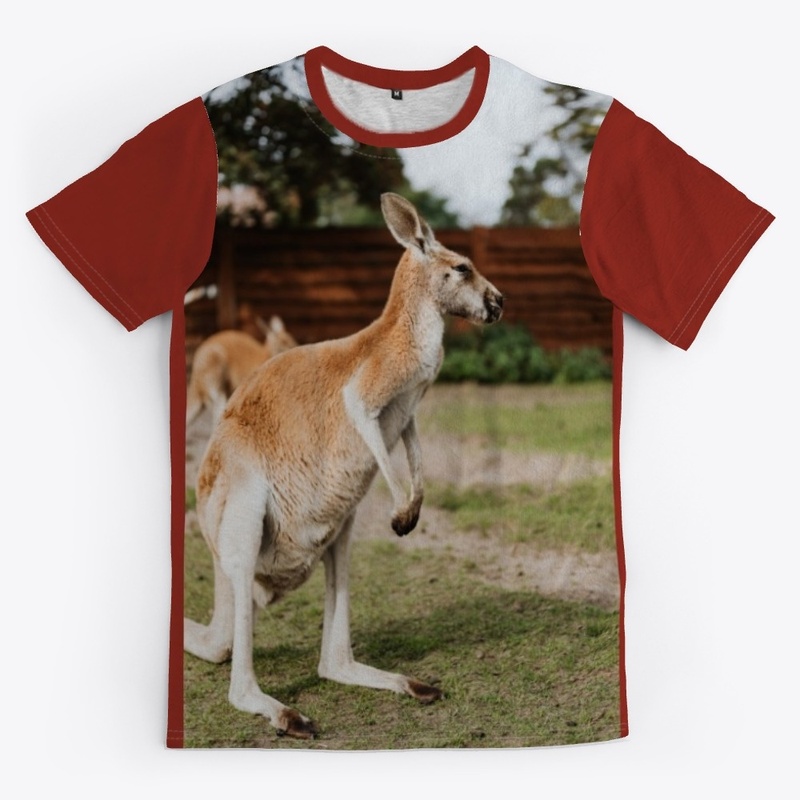 kangaroo