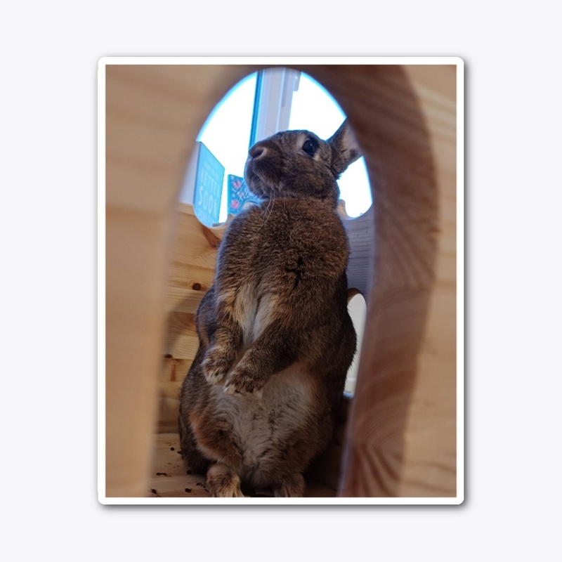 Pom Pom keeping watch from his castle