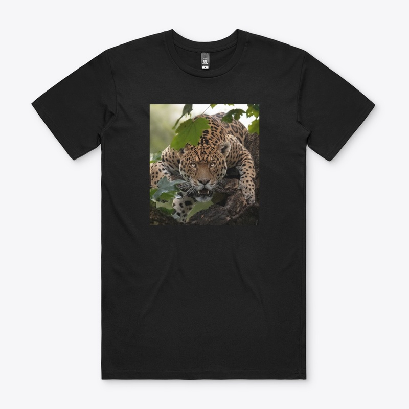 The youngest legend collection 
