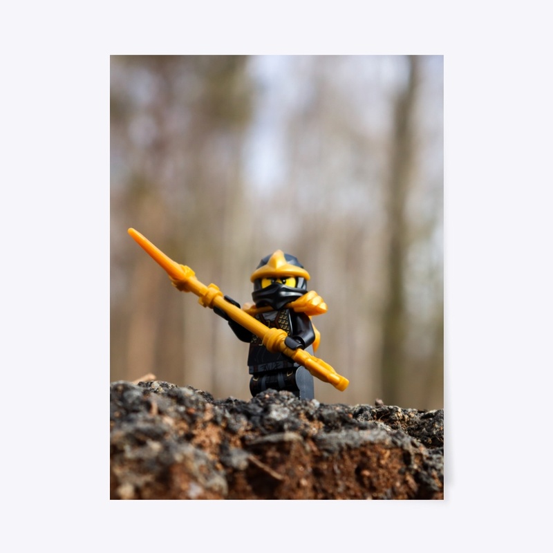 "The Black Ninja" (3 of 5 set)