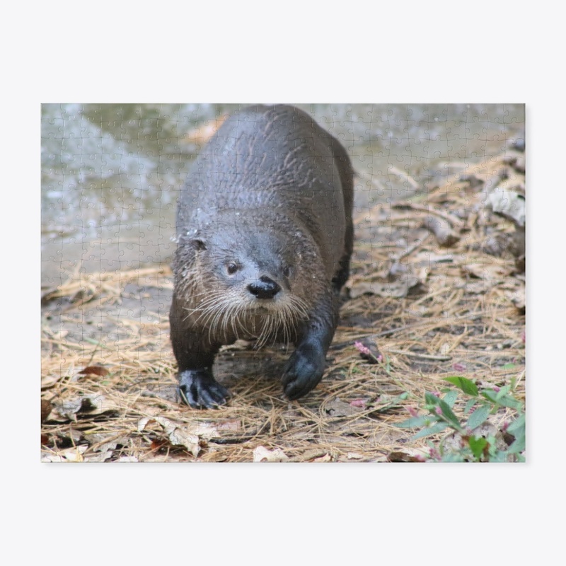 Otter 1